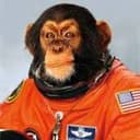 spacemonkey